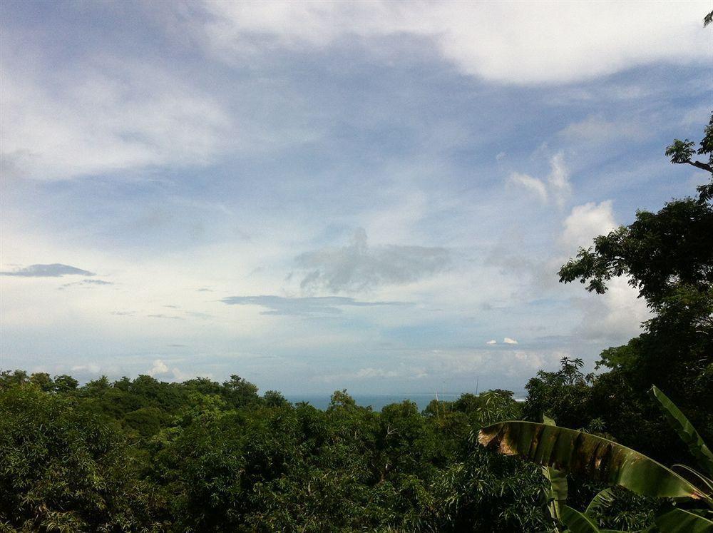 Hotel California Manuel Antonio Zewnętrze zdjęcie